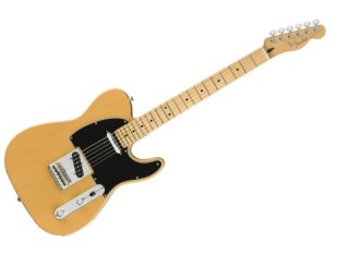 Fender Player Telecaster MN...