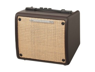 Ibanez Troubadour T15II