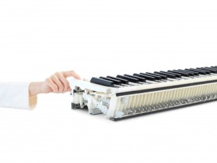 Kawai CN-301 Black
