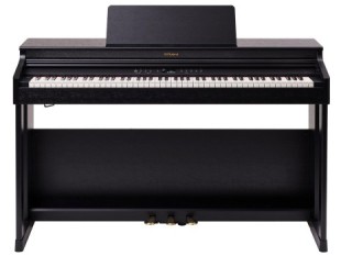 Roland RP701-CB...