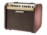 Fishman Loudbox Mini Pro-LBT 500