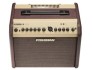 Fishman Loudbox Mini Pro-LBT 500