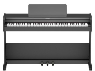 Roland RP107-BKX Contemporary Black