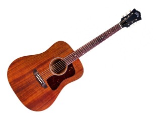 Guild USA D20 Natural