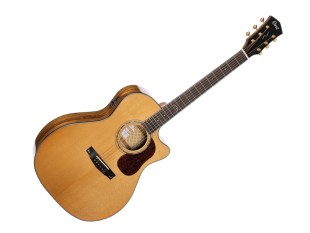 Cort Gold A6 Bocote Natural...