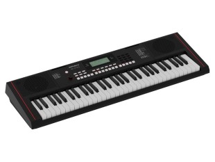 Roland E-X10