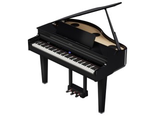 Roland GP-6-PE Polished Ebony