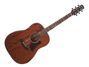 Ibanez AAD140-OPN Open...