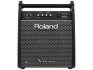 Roland PM-100 Personal Monitor V-Drums Ampli Batterie Electronique