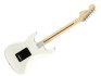 Fender American Performer Stratocaster RW Arctic White