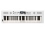 Roland Go : Keys 5 White