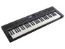 Roland Go : Keys 5 Graphite